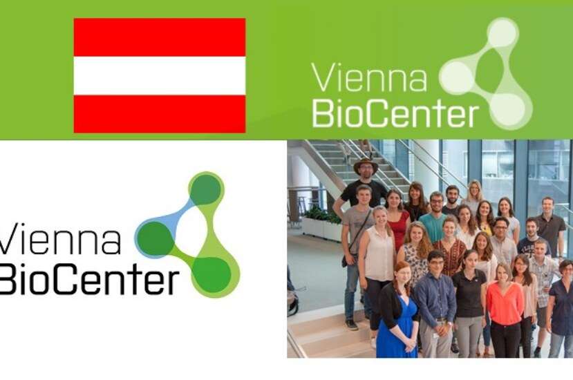 [Scholarships]Vienna Biocenter Summer School 2024 in Austria | Fully Funded – Community Forum