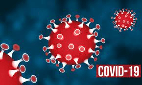 covid 19 coronavirus cases report today